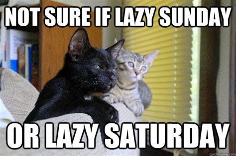 NOT SURE IF Lazy sunday OR lazy saturday | Funny saturday memes, Funny ...