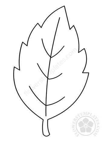 Tropical Leaves Outline - The Pineapple Tattoo: A Symbol Of Friendship ...