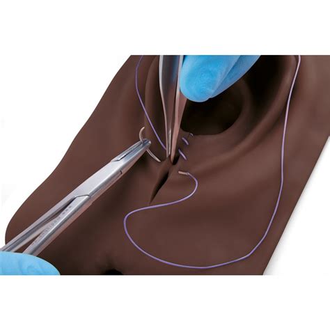 Episiotomy and Suturing Trainer, dark skin - 1023329 - 3B Scientific ...