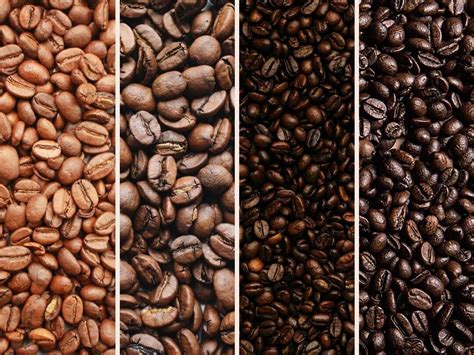 Ultimate Guide to Coffee Bean Roasts: Which One Is Best?