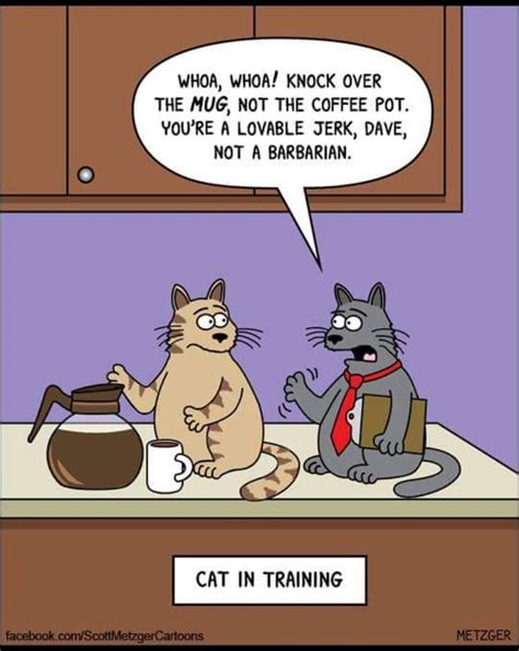 Lovable cat in training Funny Cartoons, Cartoons Comics, Funny Comics ...