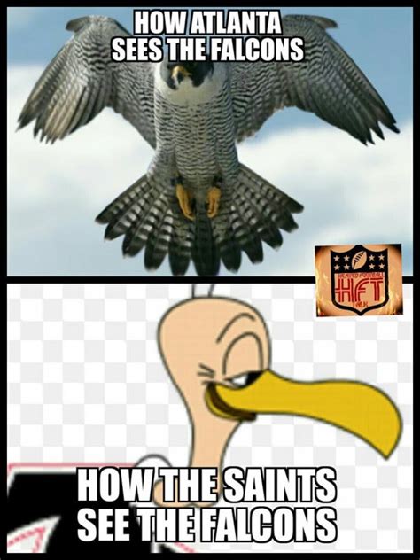Atlanta Falcons New Orleans Saints Memes