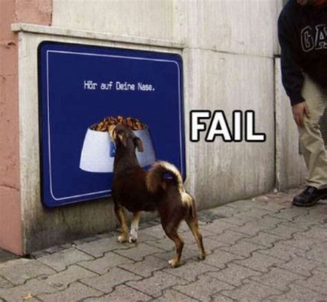 25 best FAIL pics (25 pics)