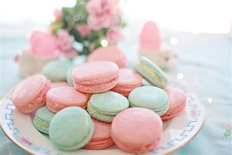 HD wallpaper: macarons, pink, aqua, pastels, cookies, biscuits, sweet, dessert | Wallpaper Flare