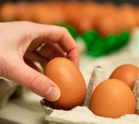 Organic Eggs vs Regular Eggs – what’s the difference? - Honestly Farm ...