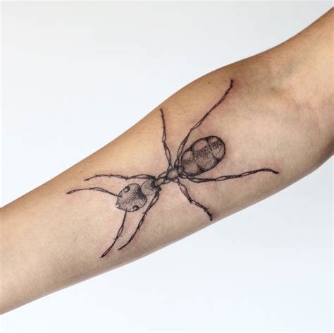 24 Creative Ant Tattoo Ideas and Meanings | TattooAdore