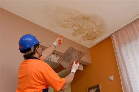 Water Stains on Your Ceiling - Common Causes & Solution In 2024