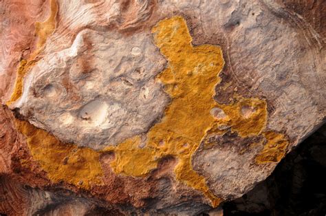 Rock art at Petra (8) | Petra | Pictures | Jordan in Global-Geography