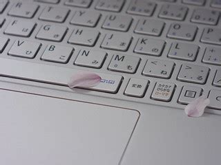 Sakura comes on my keyboard | Ryo FUKAsawa | Flickr