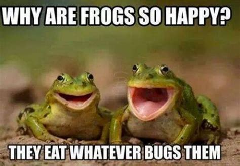 85 Happy Memes to Brighten Your Day and Make You Smile | Happy memes, Cheesy jokes, Funny frogs