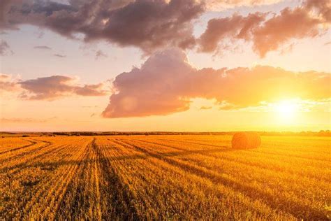 the sun is setting over a large field with hay bales in the foreground