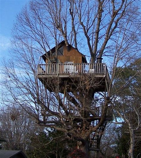 North Carolina winery, Treehouse Vineyards, Inc. Monroe, NC Date Night Treehouse | Tree house ...