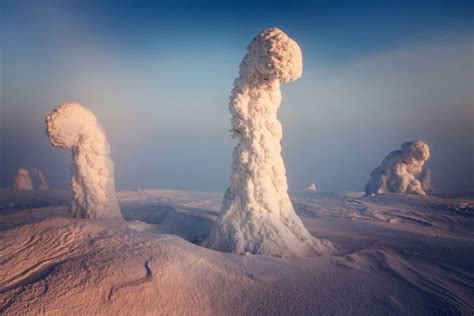 Interesting Photo of the Day: Finnish Lapland Trees in Winter