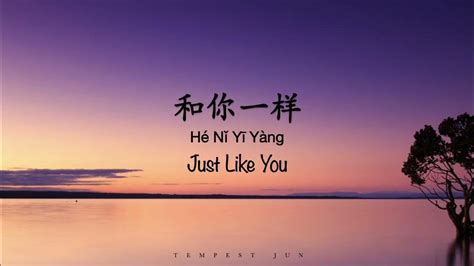 和你一样 Just Like You [李宇春 Chris Li] - Chinese, Pinyin & English Translation 歌词英文翻译 - YouTube