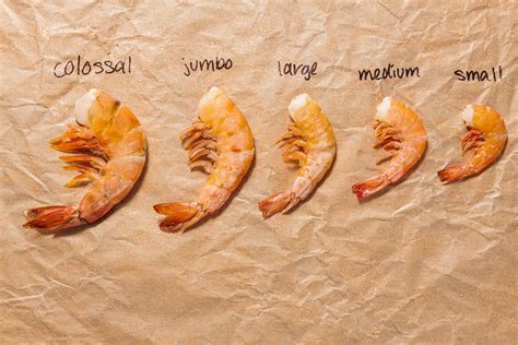 Types And Sizes Of Shrimp Jessica Gavin