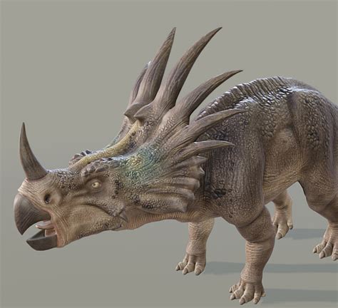 Styracosaurus Free Stock Photo - Public Domain Pictures