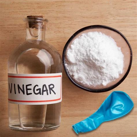 CLASSROOM - VINEGAR - National Day Calendar