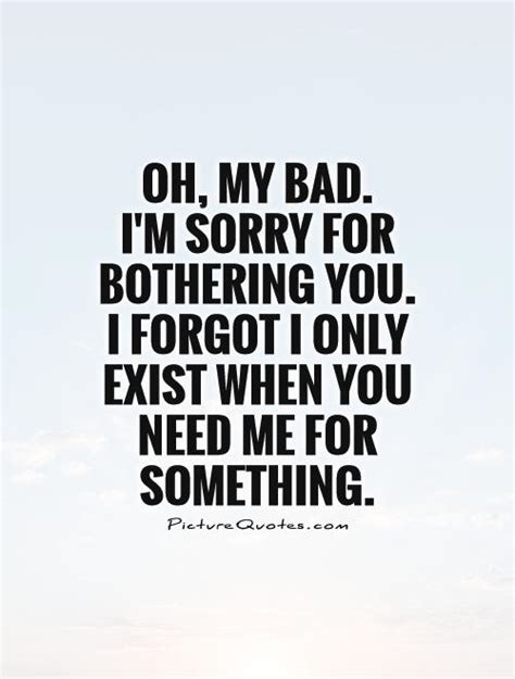 Oh, my bad. I'm sorry for bothering you. I forgot I only exist ...