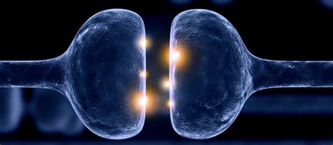 Nerve Conduction Velocity (NCV) - Rapid Diagnostics