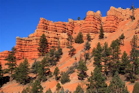 Red Rock Canyon - Utah Photograph by Aidan Moran - Pixels