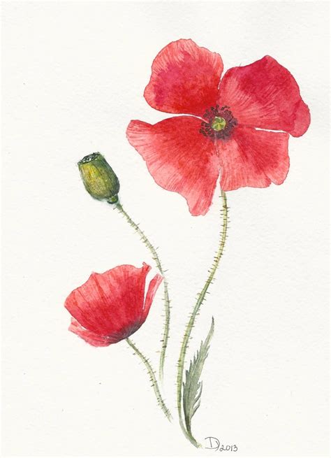 Watercolour Flower Painting Poppy Flower Painting Wat - vrogue.co