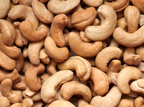 Moz a tough nut to crack as it battles cashew pressures | Freight News