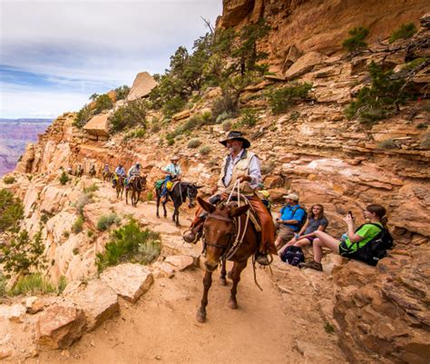 The Grand Canyon's Stunning North Rim | Via