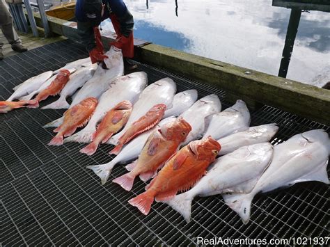 Fantastic Deep-Sea Fishing in Alaska, Seldovia, Alaska Fishing Trips | RealAdventures