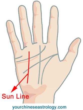 Sun Line, Apollo Line Palm Reading – Chinese Palmistry