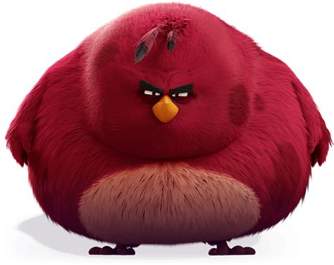 Terence | Red angry bird, Angry birds characters, Angry birds