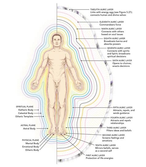 A Complete Guide to the Human Energy Fields and Auric Body