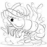Crustacean coloring Pages  Free Coloring sketch template