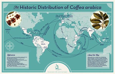 Historic Distribution of Coffea Arabica. | Coffee history, Arabica, Coffea arabica