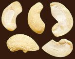 Large White Pieces(LWP) Cashew Kernels at best price in Palasa