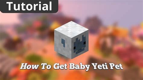 How To Get BABY YETI PET in Hypixel Skyblock - YouTube