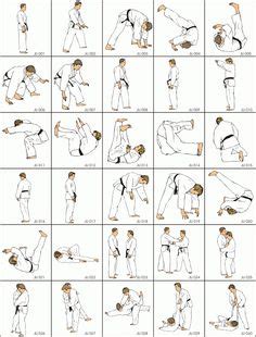 36 Jiu-jitsu ideas | jiu jitsu, bjj, brazilian jiu jitsu