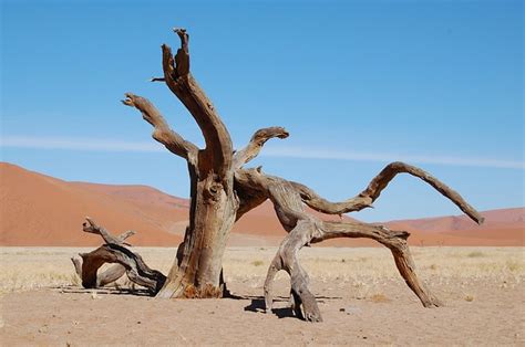 Desert Namibia Landscape - Free photo on Pixabay - Pixabay