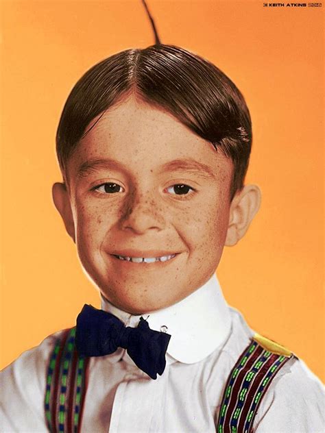 Carl "Alfalfa" Switzer from the Hollywood's children album | Classic comedy movies, Vintage ...