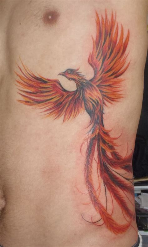 Phoenix. Other cool mythological birds to consider: Caladrius & Hercinia --color | Phoenix ...