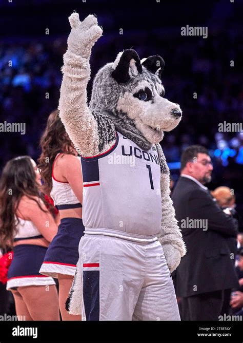 Connecticut Huskies mascot during the Jimmy V Classic against the North ...