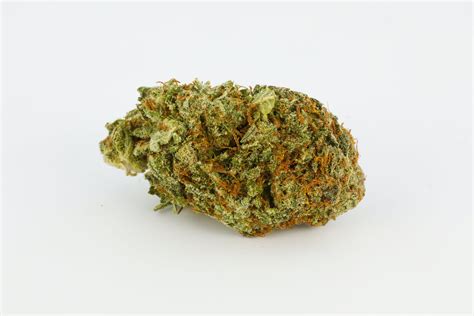 Afghan Kush Strain of Marijuana | Weed | Cannabis | Herb