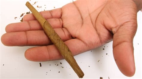 Blunt Rolling 101: Learn How to Roll a Perfect Blunt Every Time