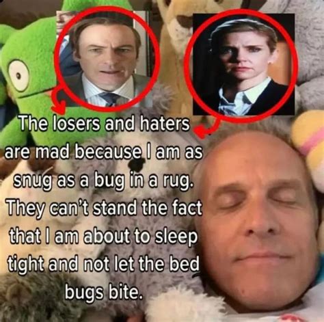 Snug as a Bug In a Rug (meme) | Snug as a Bug In a Rug | Know Your Meme