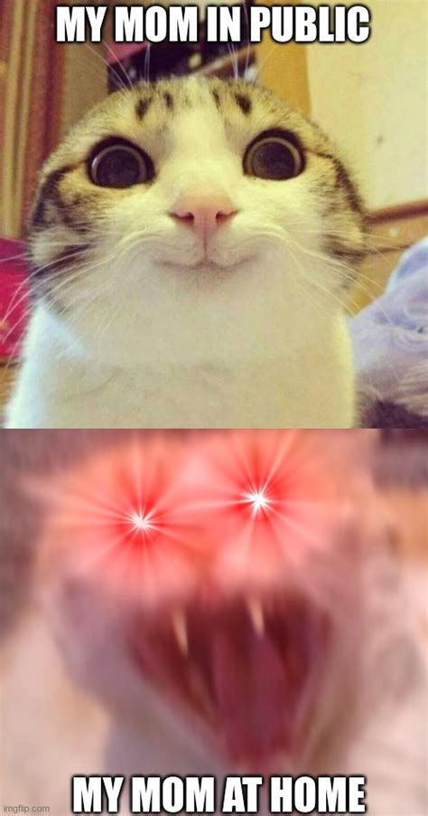 Angry Cat Meme