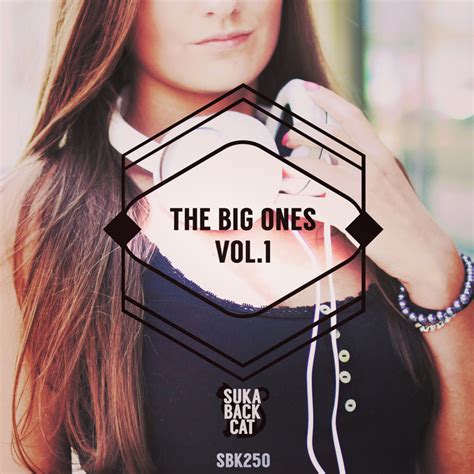 Various: The Big Ones Vol 1 at Juno Download