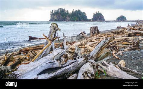 Amazing La Push Beach in the Quileute Indian reservation - FORKS - WASHINGTON Stock Photo - Alamy