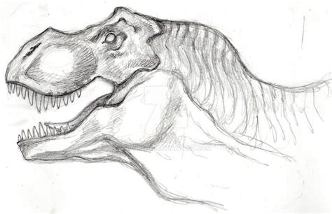 T-rex face - pencil sketch by SqiTzoW on DeviantArt | Sketches, Pencil sketches of faces ...