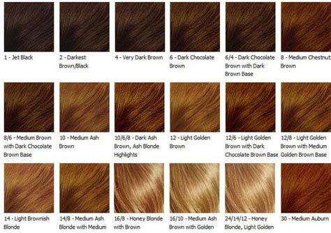 Best Hair Color for Dark Skin Tone, African American Chart & Ideas for Red Undertones