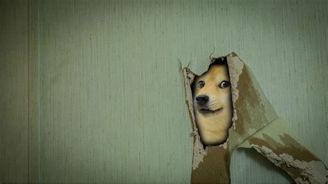 Dog Meme Wallpapers - Wallpaper Cave