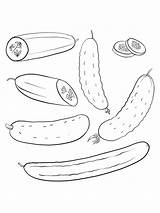 Coloring Pages Of Cucumbers sketch template